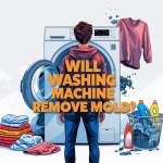 Will Washing Machine Remove Mold? Understanding the Limits of Laundry Cleaning