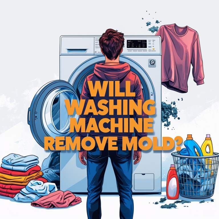 Will Washing Machine Remove Mold? Understanding the Limits of Laundry Cleaning